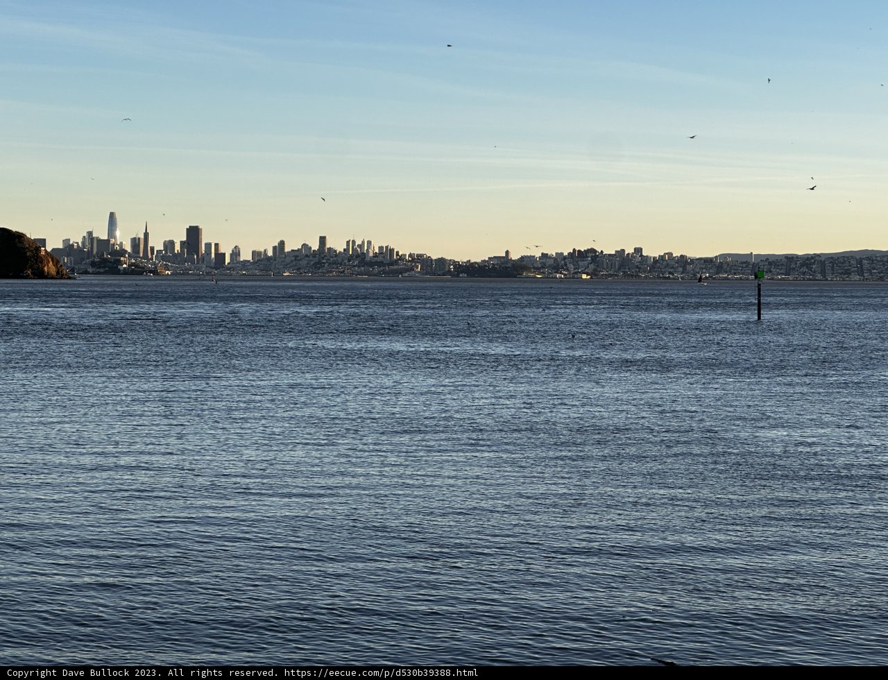 Metropolis on the Waterfront