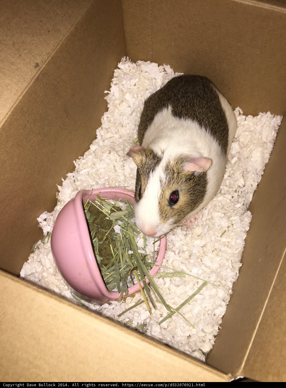 Snacking in the Box