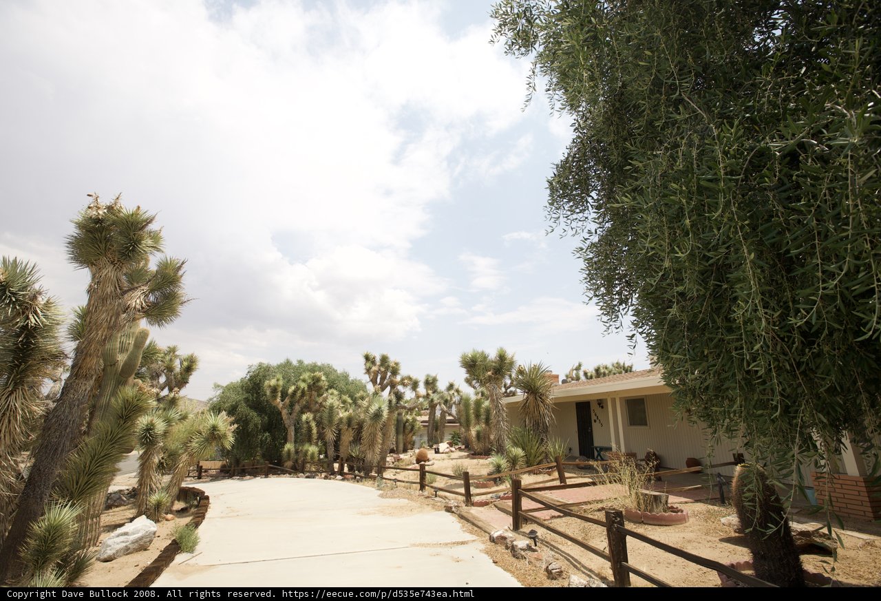Summer Villa with Tree-Lined Driveway