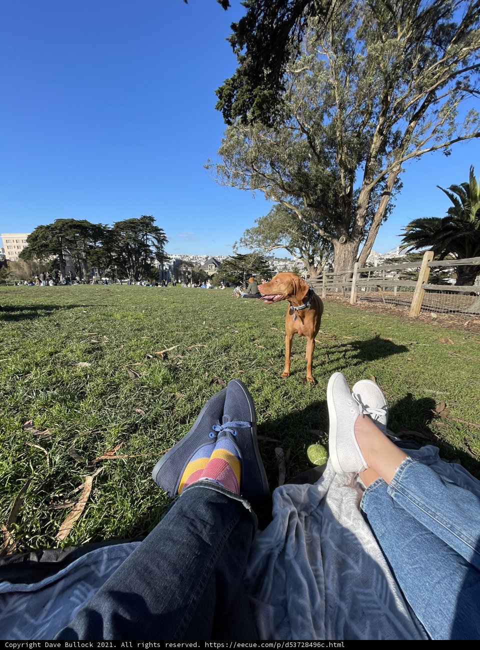 A Day in the Park