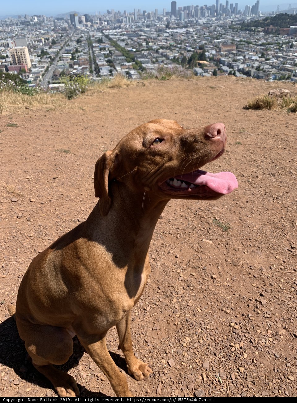 View from the Hill
