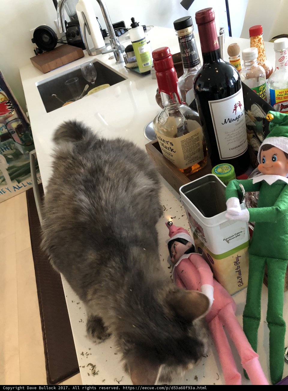 Cat and Elves
