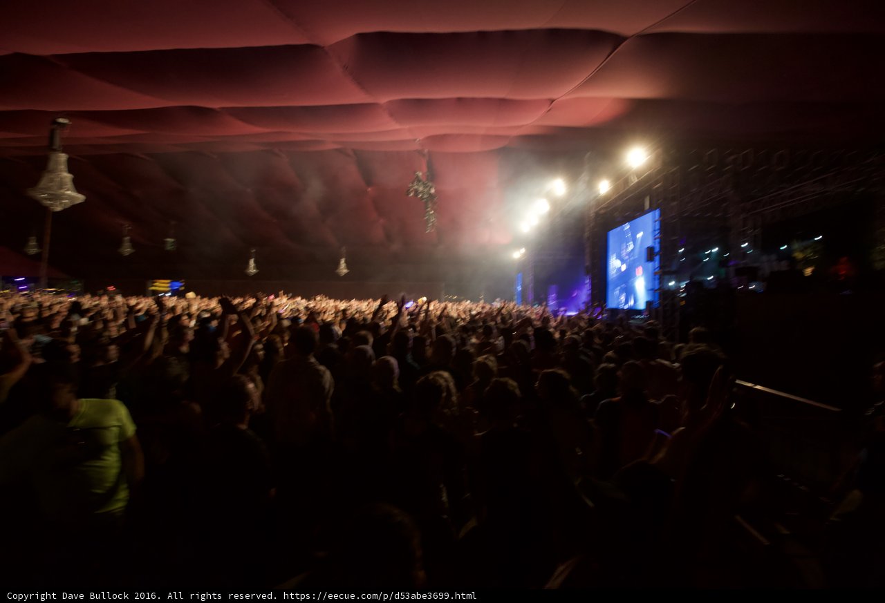 Smokin' Hot Concert Crowd