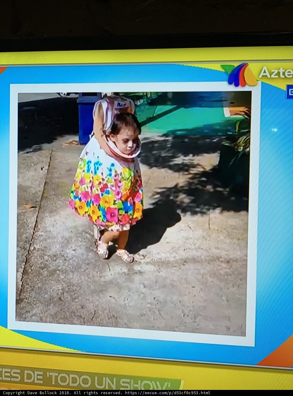 Little Girl Enjoys a Summer Day Outdoors