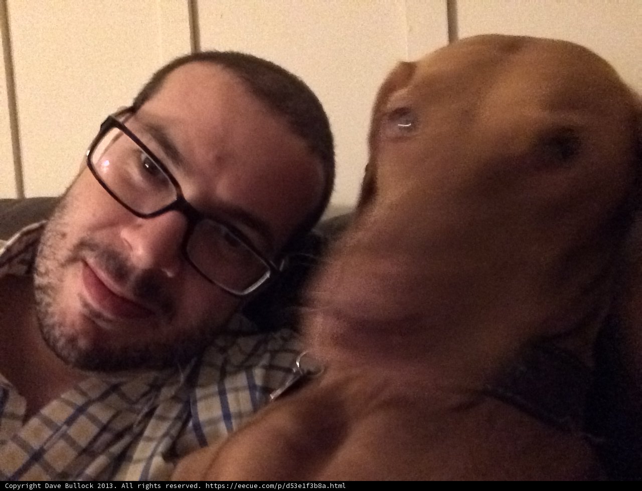 Man and Dog Bonding on the Couch