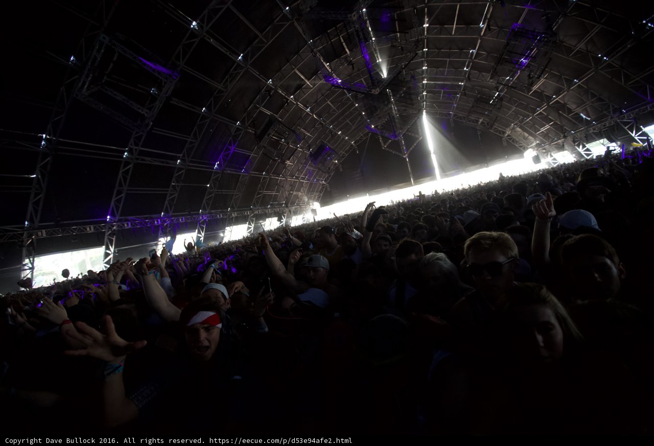 Electric Nightlife