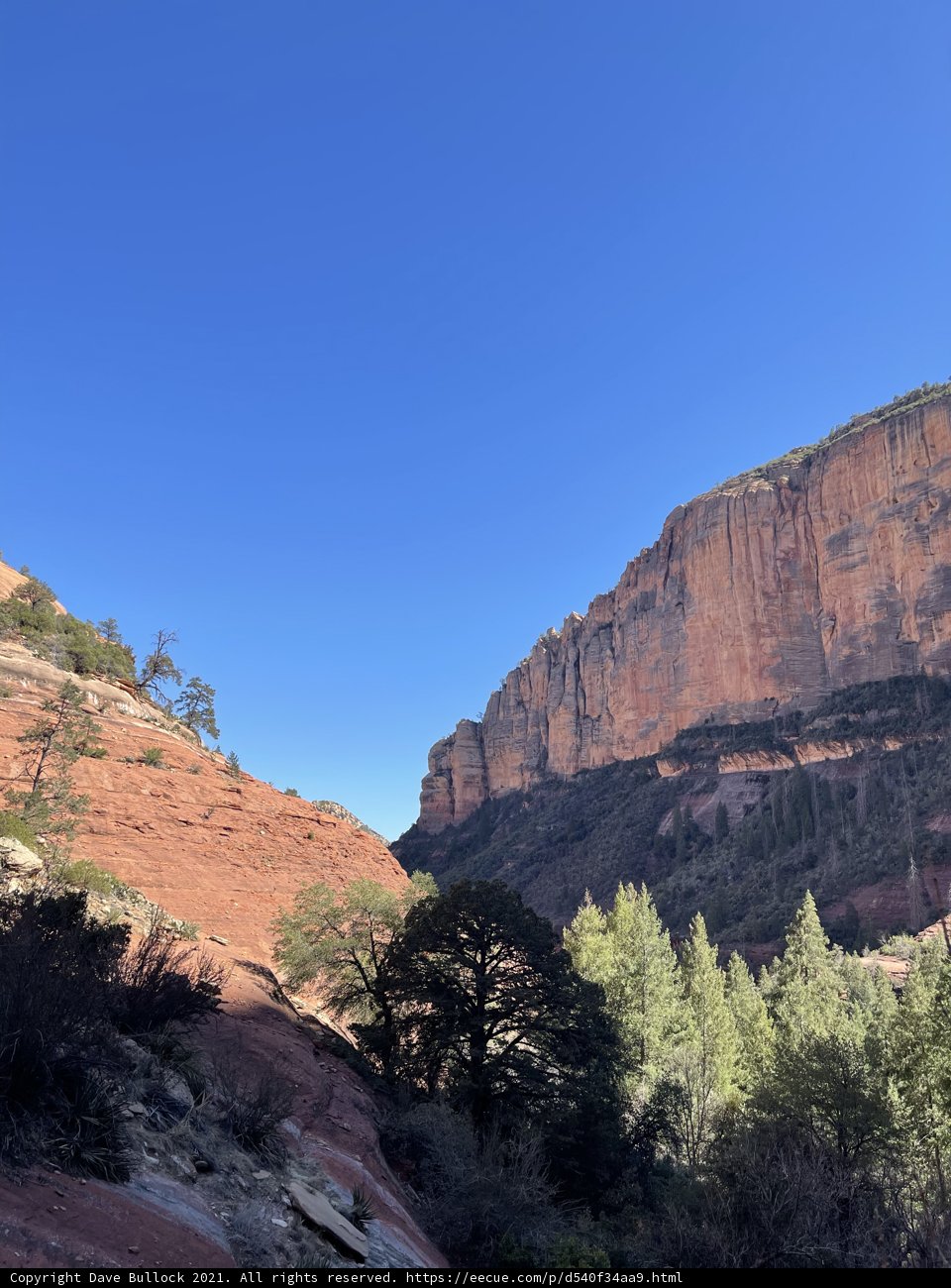 Red rock canyon vista