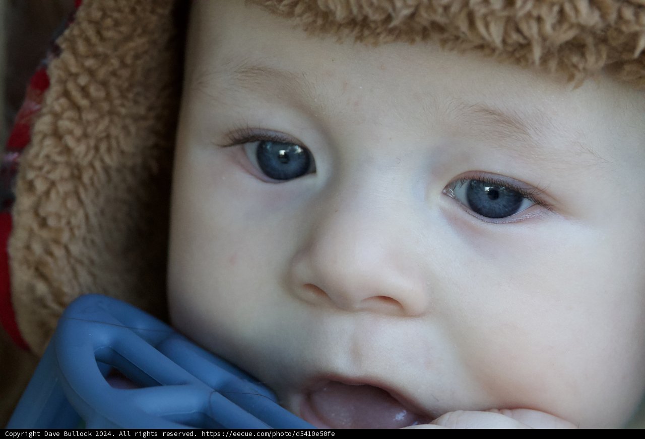 The Wonder in Their Eyes