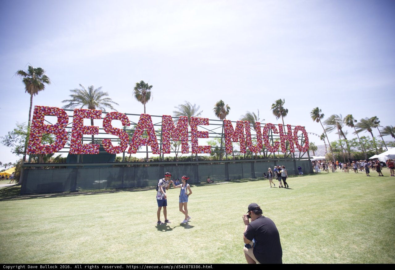 Bésame Mudo: A Summer Music Festival Adventure