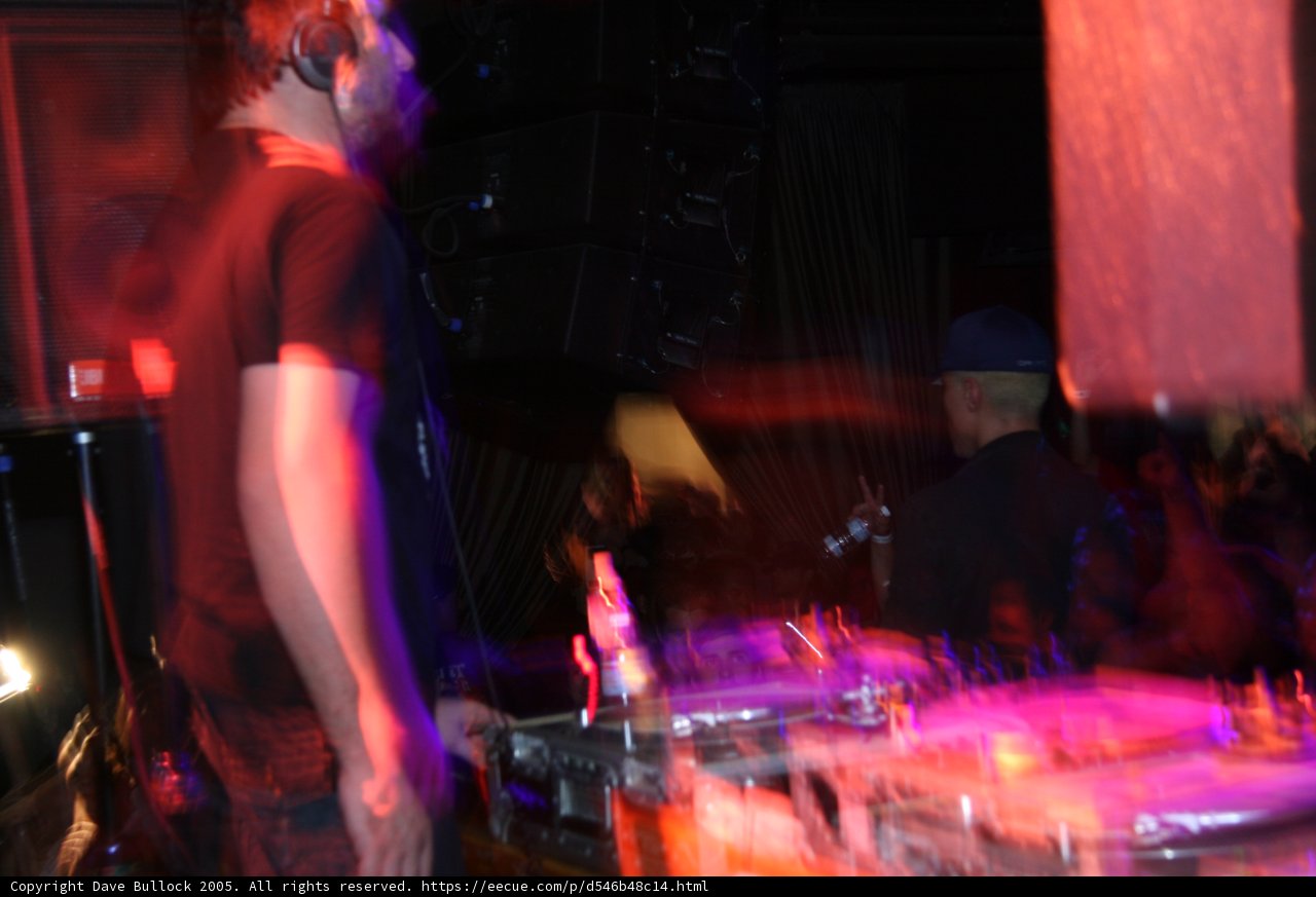 Nightclub Vibes