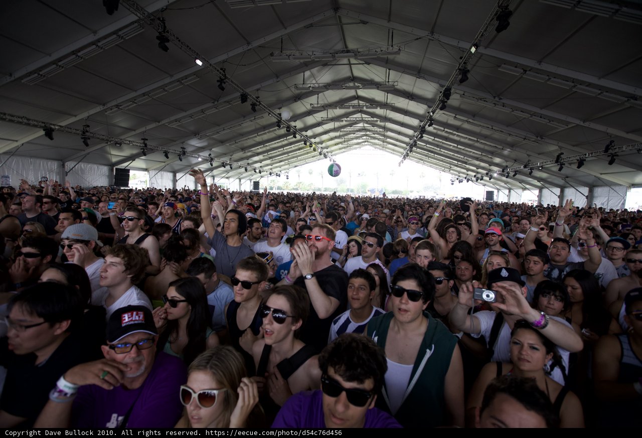 The Electric Crowd at Coachella