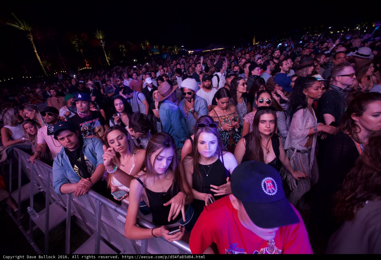 Nighttime Concert Crowd
