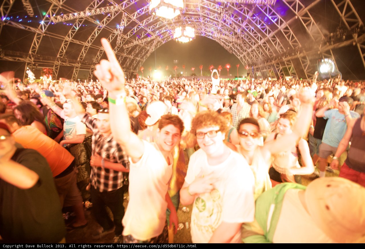 Coachella's Electric Crowd