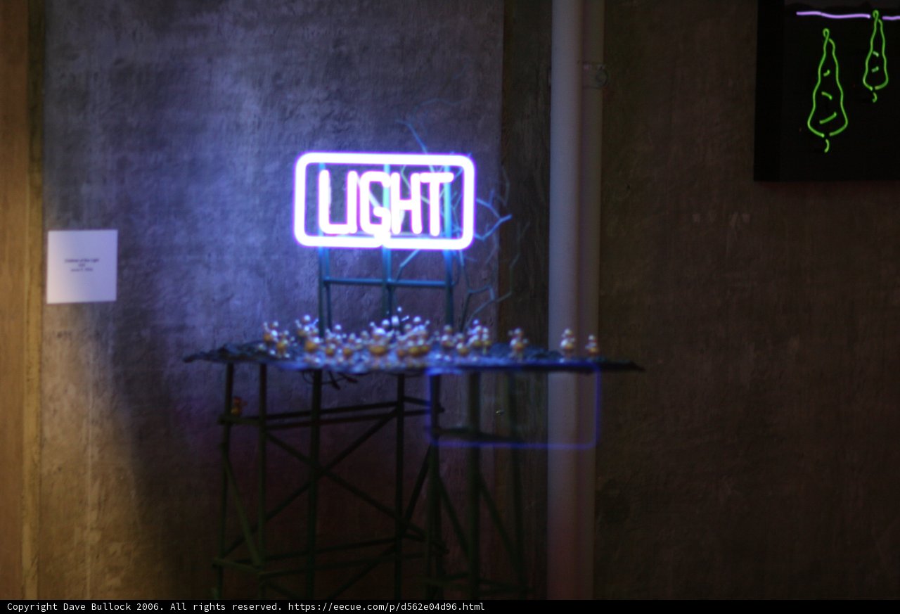 Light Up Your Night