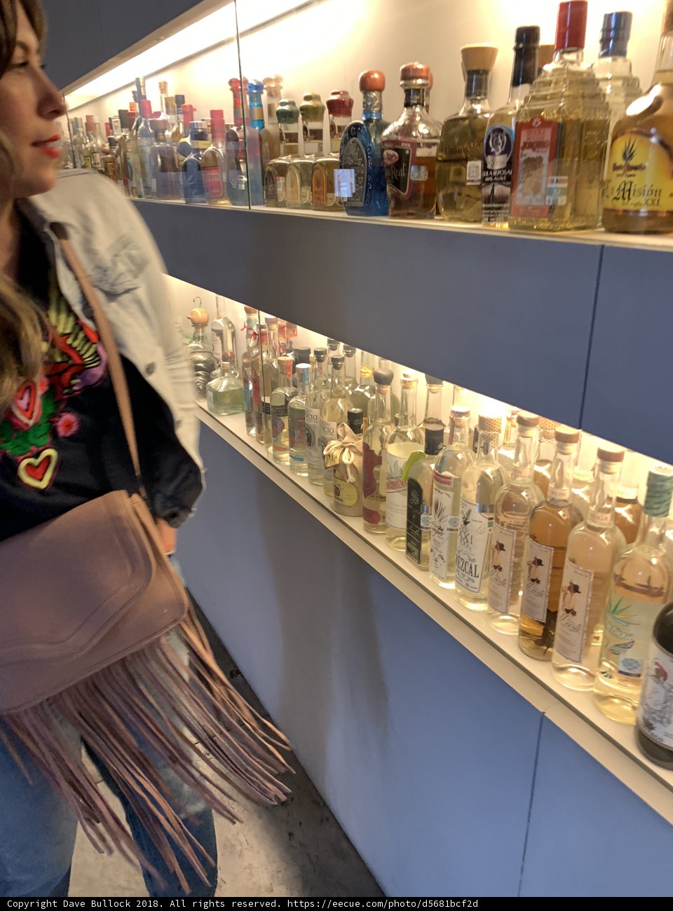 A Woman and her Liquor Shelf