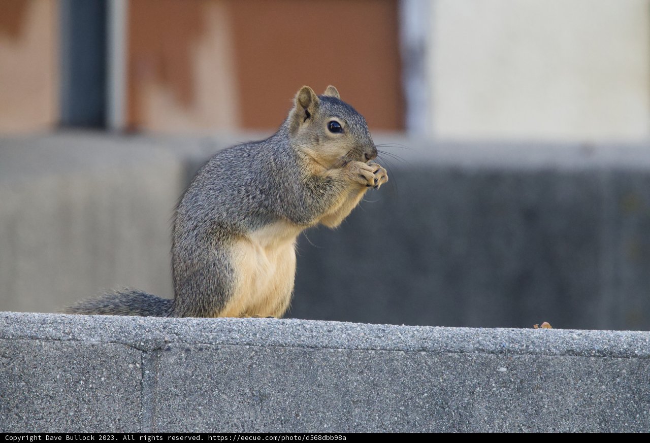Morning Munchies in El Sereno.