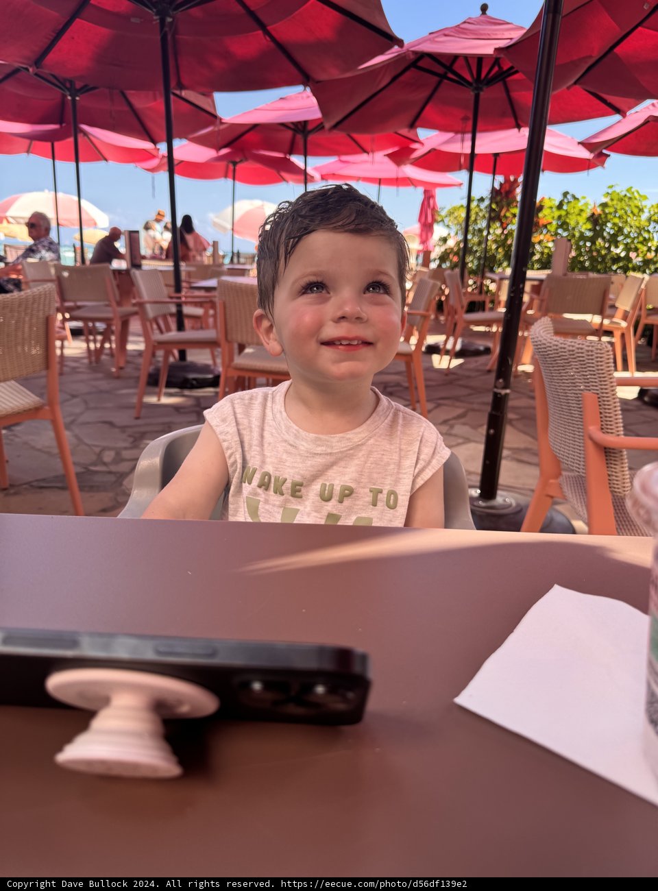 Joyful Moments Under Sunny Skies