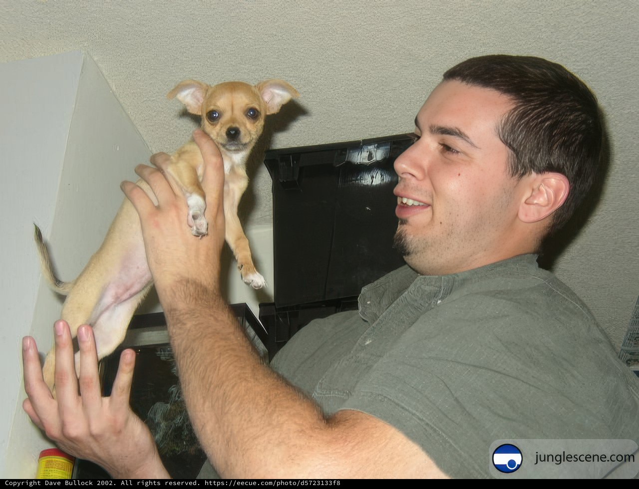 Dave and His Chihuahua Companion
