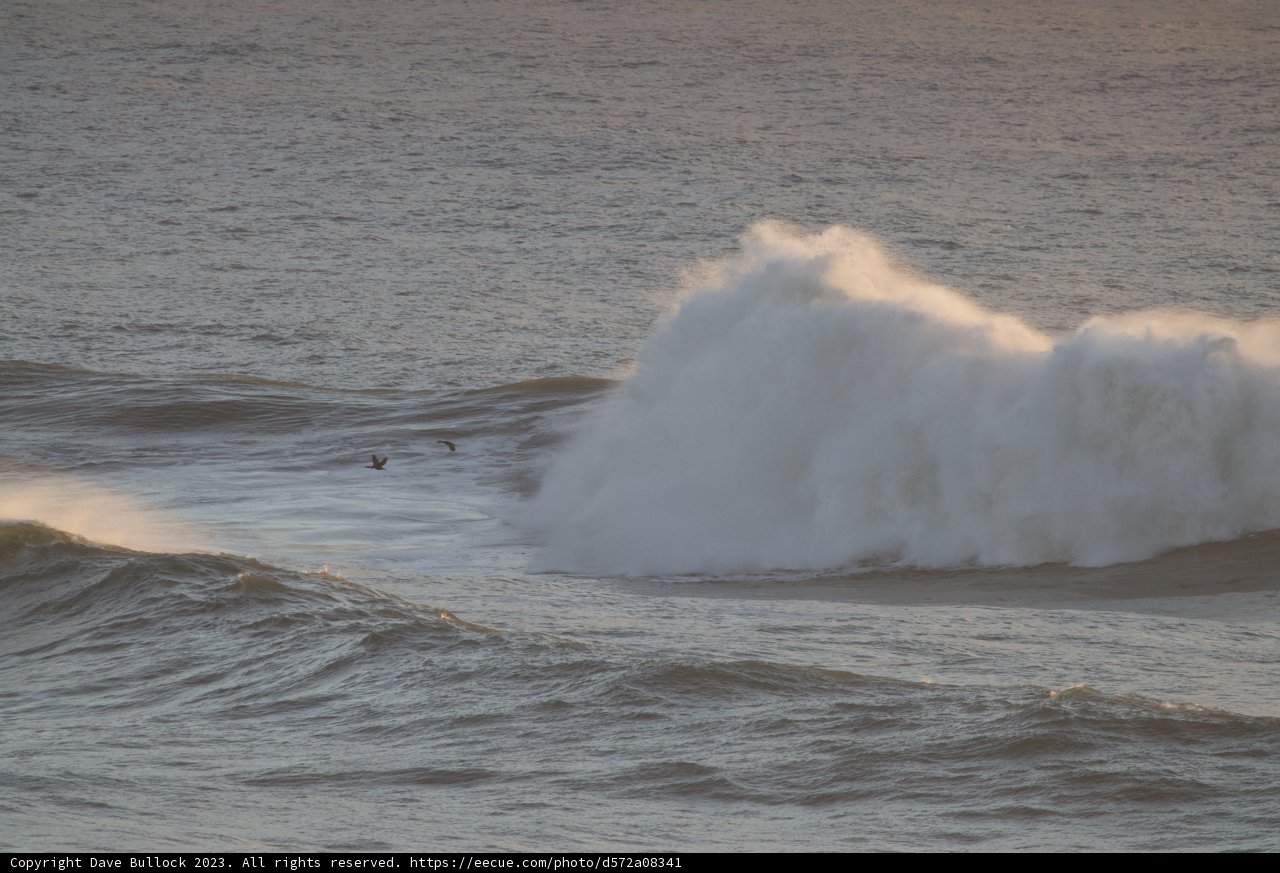 Majestic Fury: The Ocean's Power Unleashed