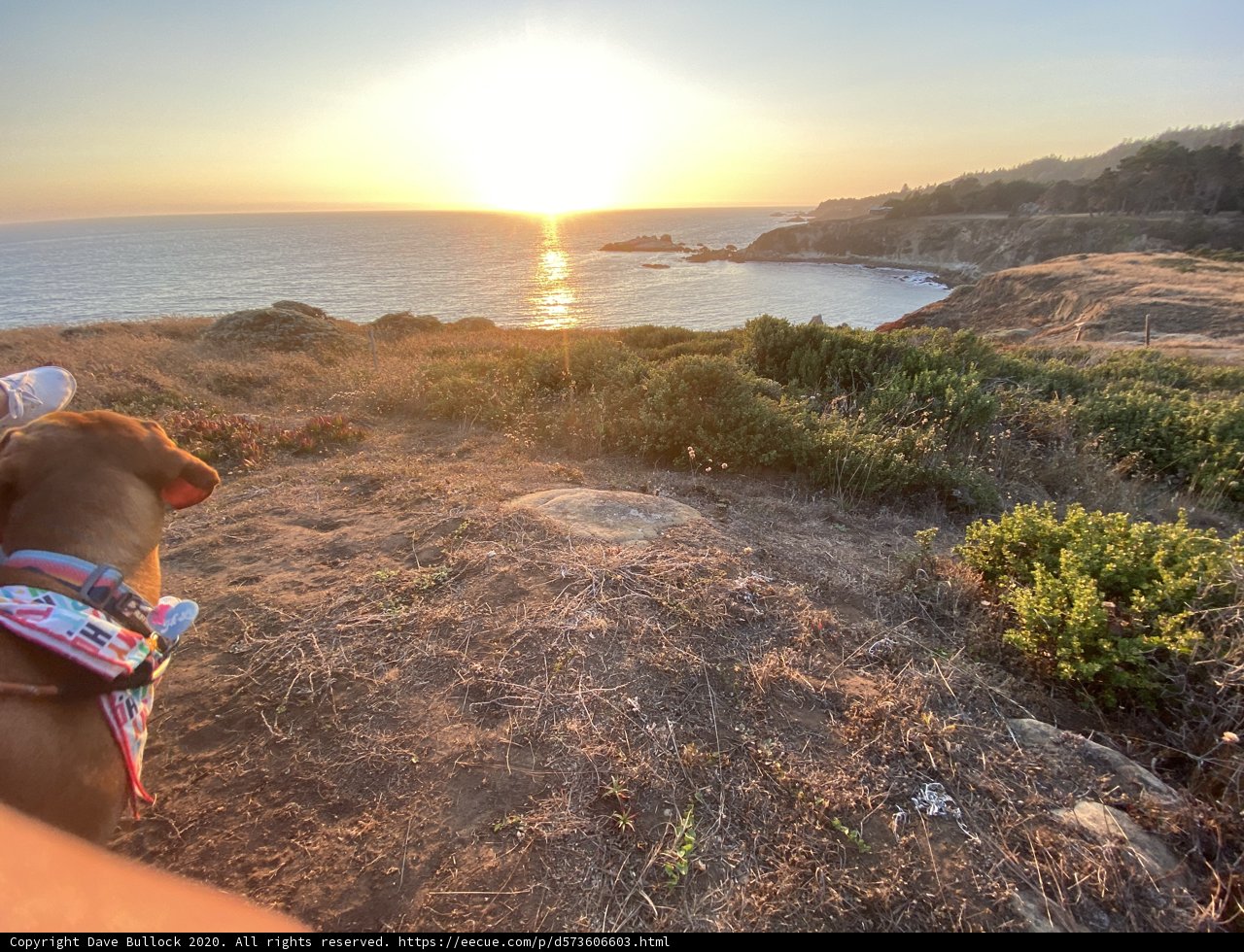 Sunset Serenade