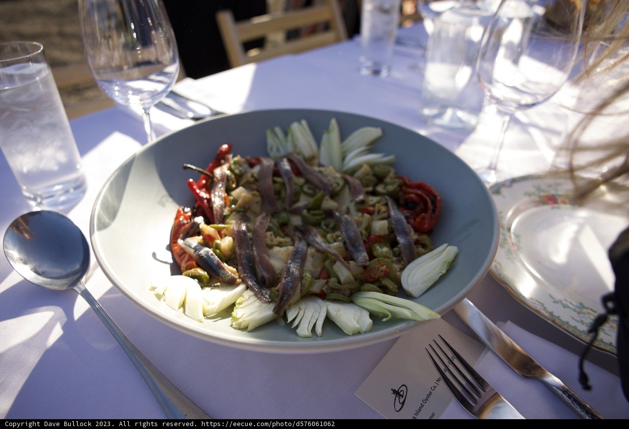 Fine Dining - An Afternoon at Hog Island Oyster Co., 2023