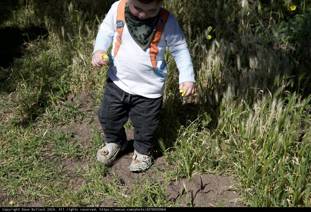Nature's Play Bound: The Frisbee Kid