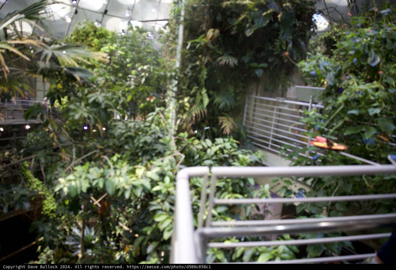 Gazing at Green - A Rainforest Retreat