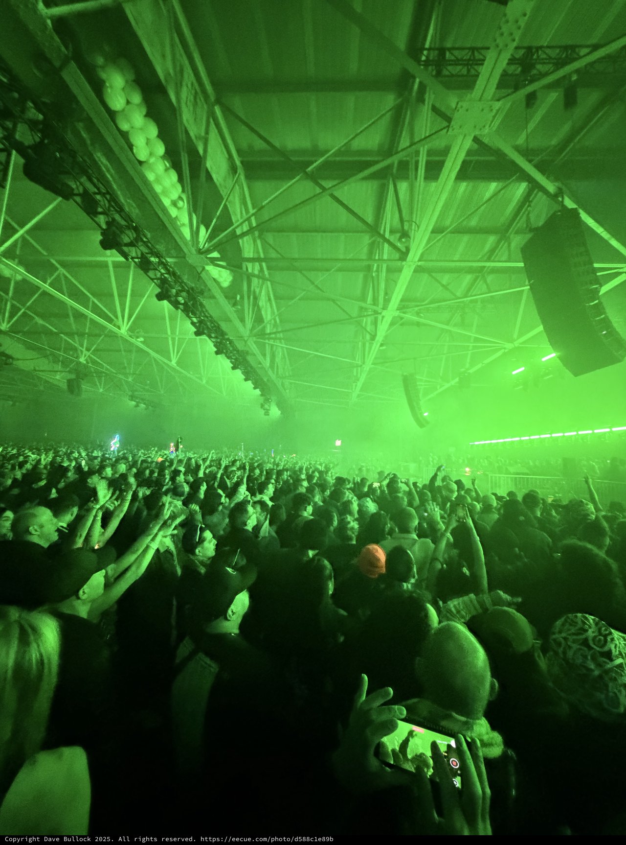 Massive Crowd Under Green Laser Light Show at Electronic Music Concert