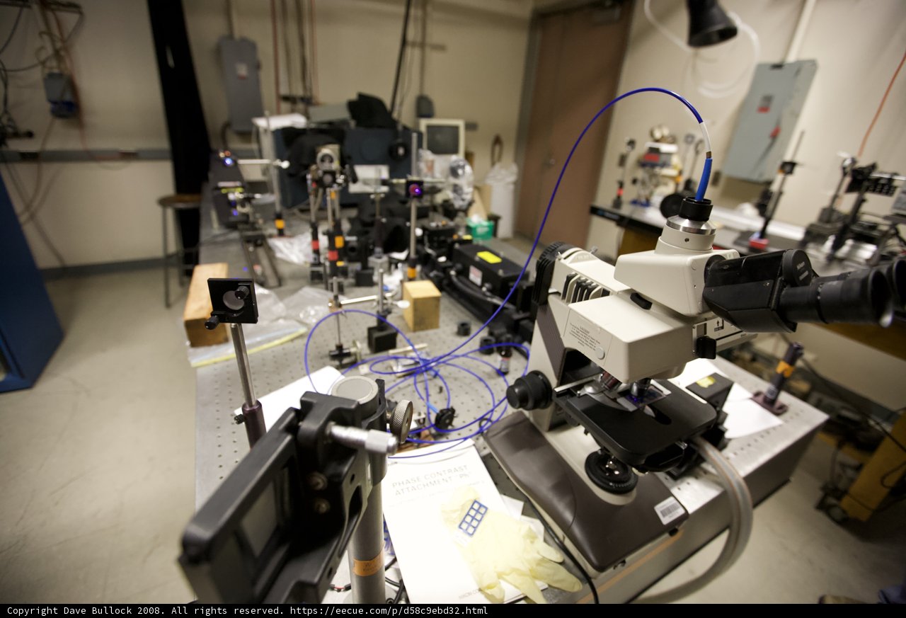 Microscopic Wonders in the Lab