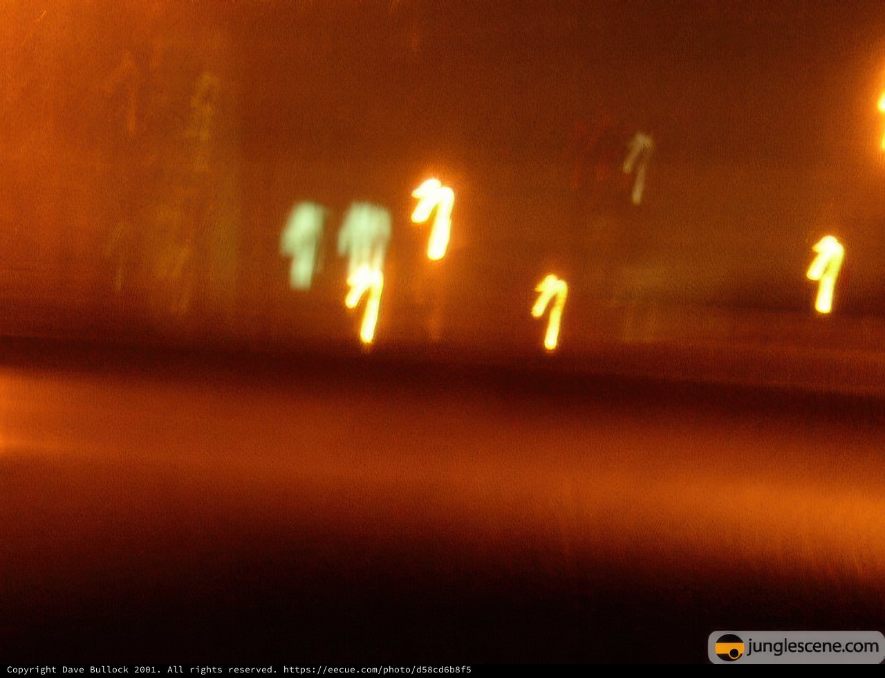 Blurred Nightscape