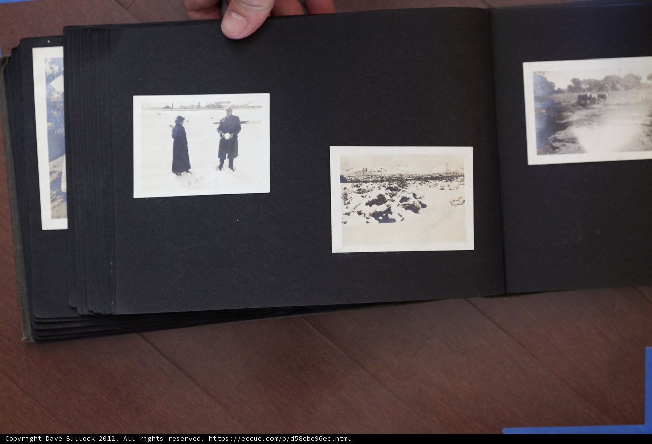 Picture Book Memories