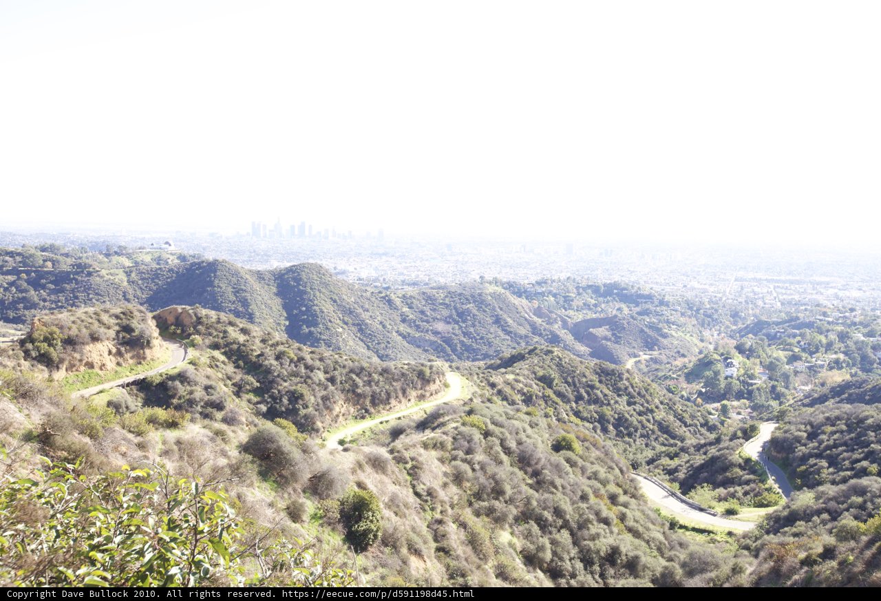 A Scenic Drive through the Wilderness