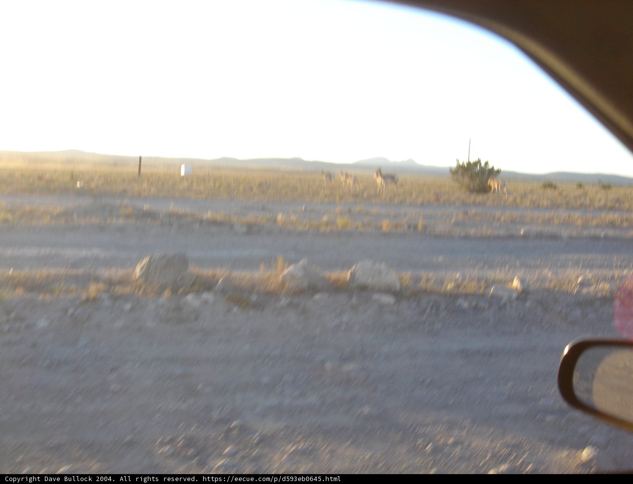 Scenic Drive through the Desert