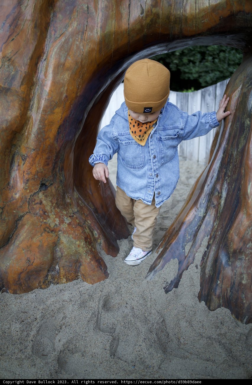 Adventure in Progress: The Little Climber
