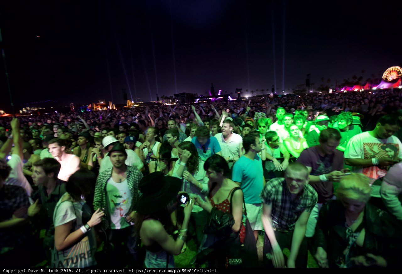 The Ecstatic Crowd at Coachella Music Festival 2010