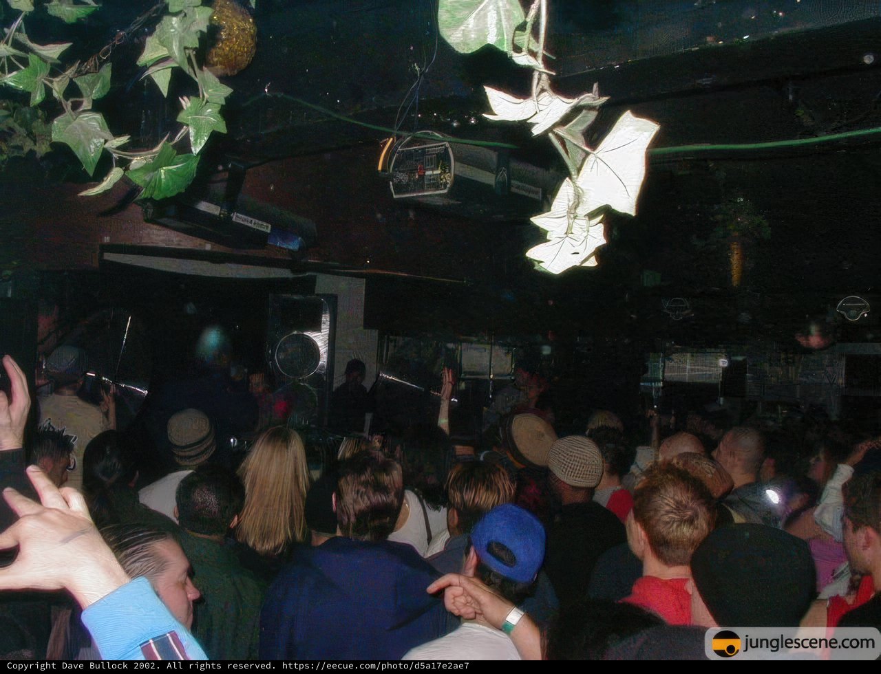 Nightclub Fever