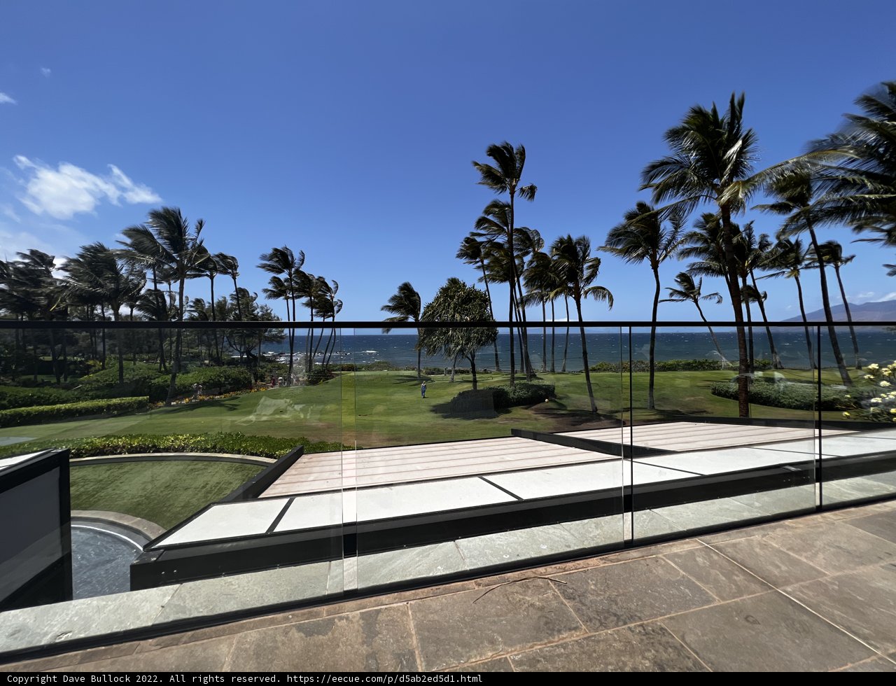 Ocean View Paradise
