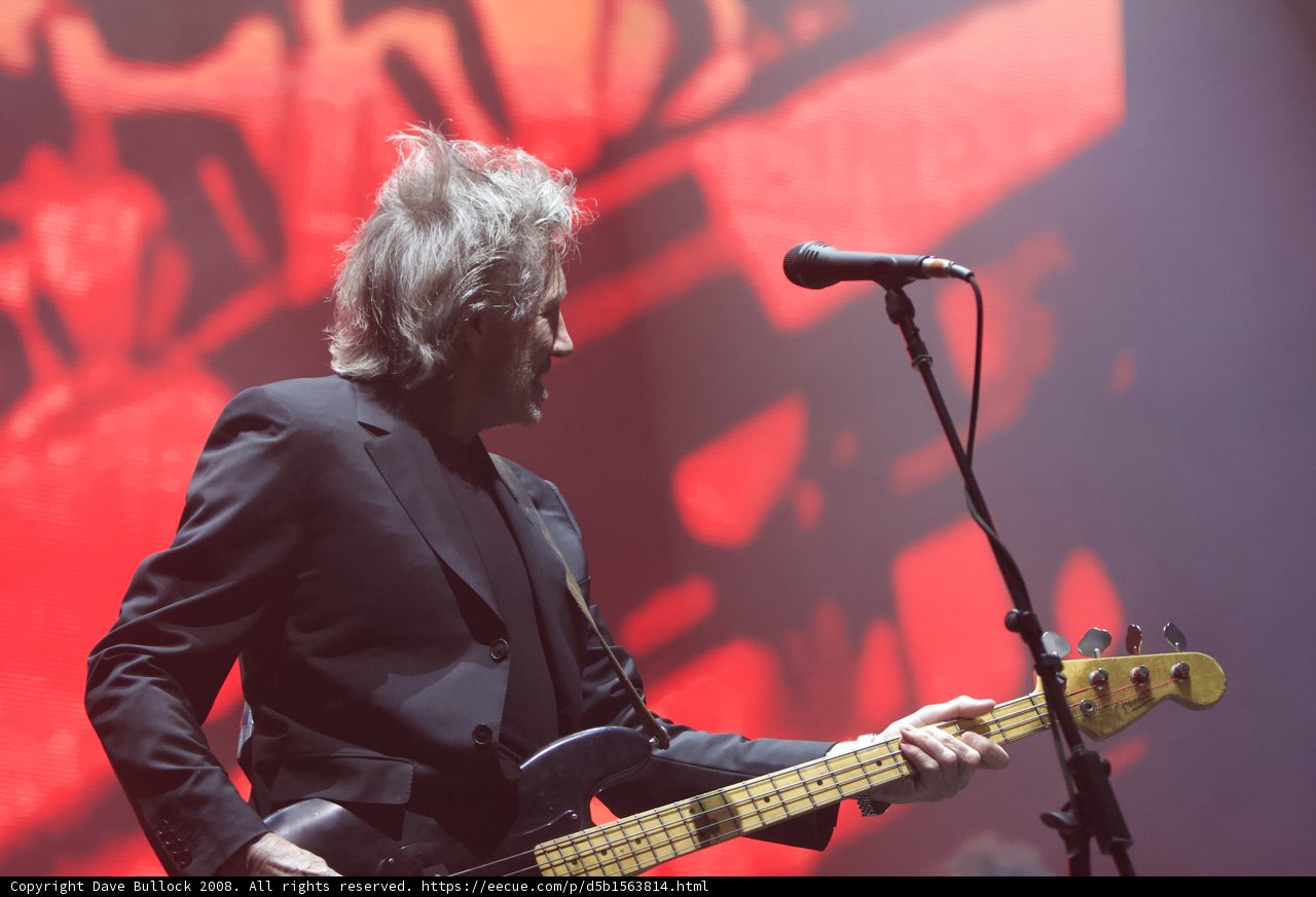 The Suited Bassist