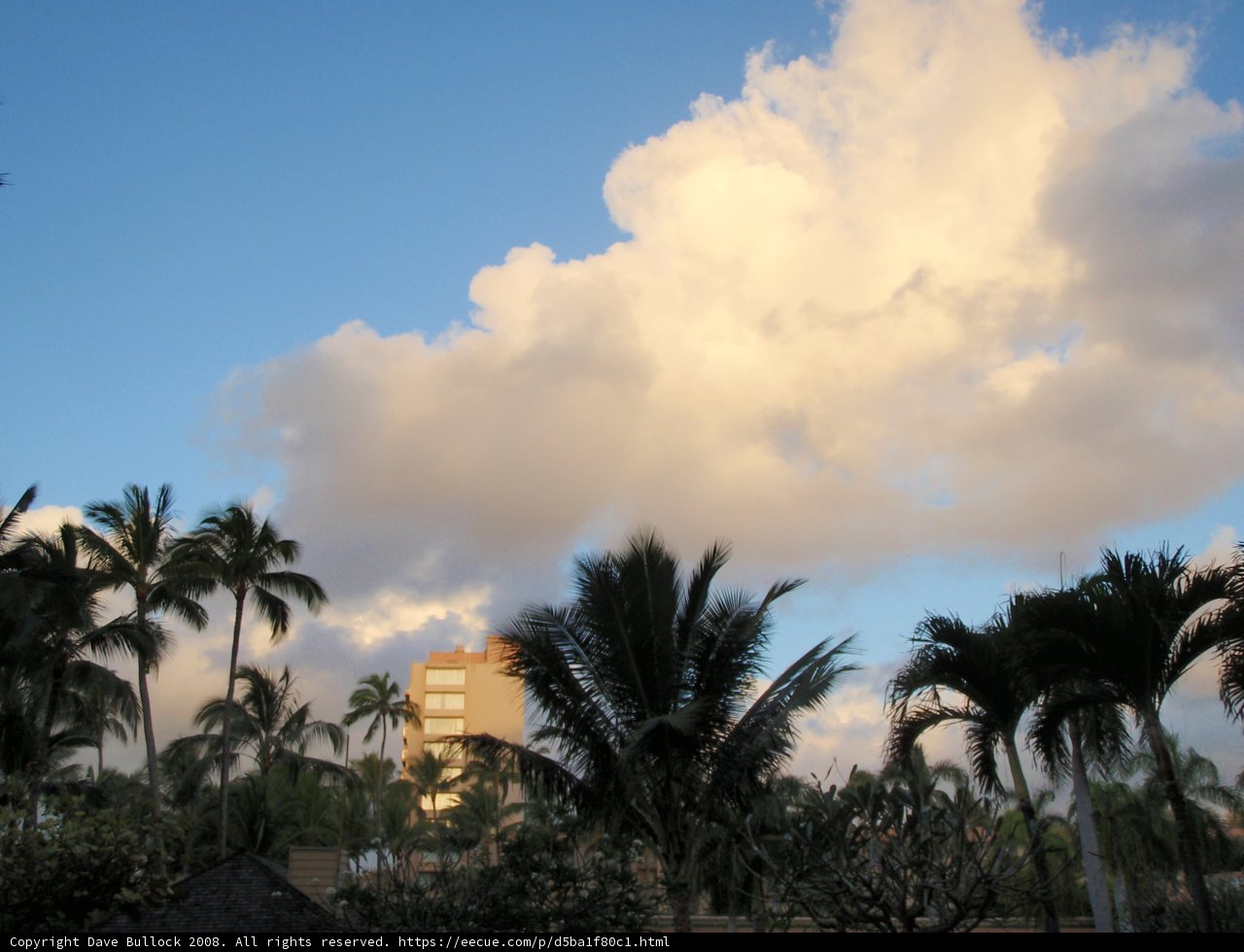 Tropical Skies