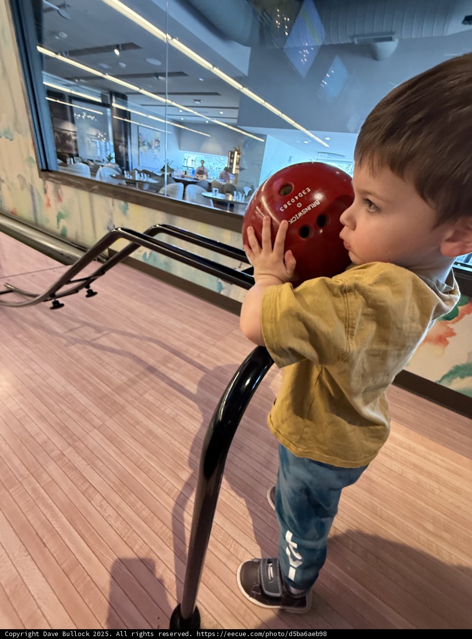 Bowling Beginnings