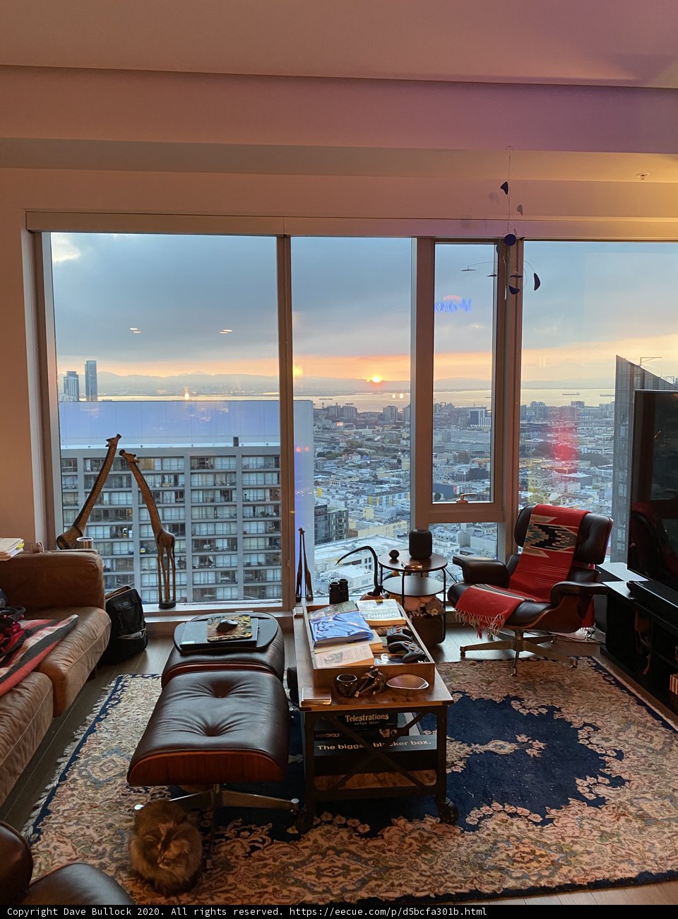 Room with a View