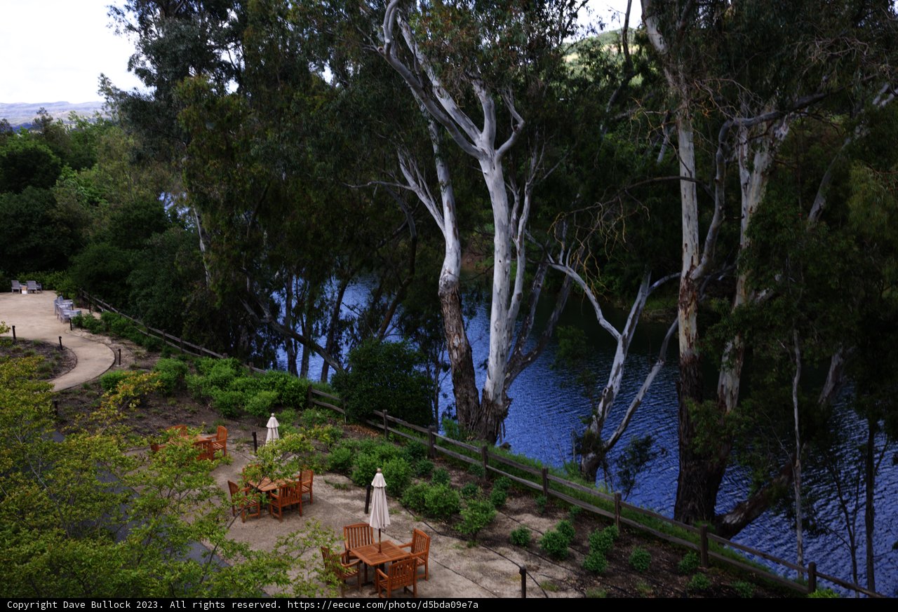 Serenity in Napa Valley