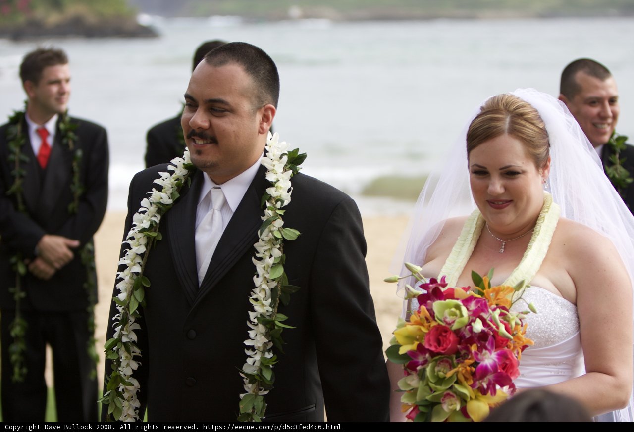 Beach Wedding Bliss