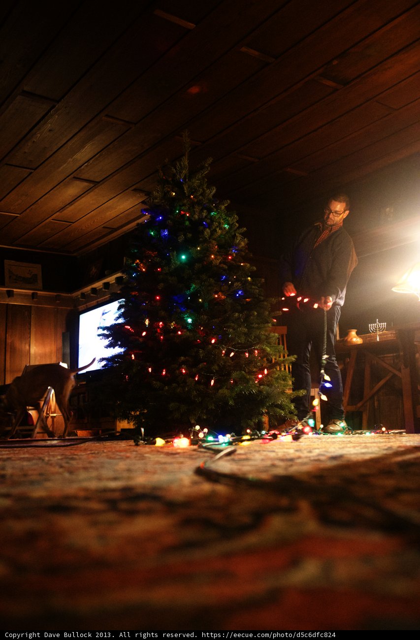 Festive Decor with Flaring Lights