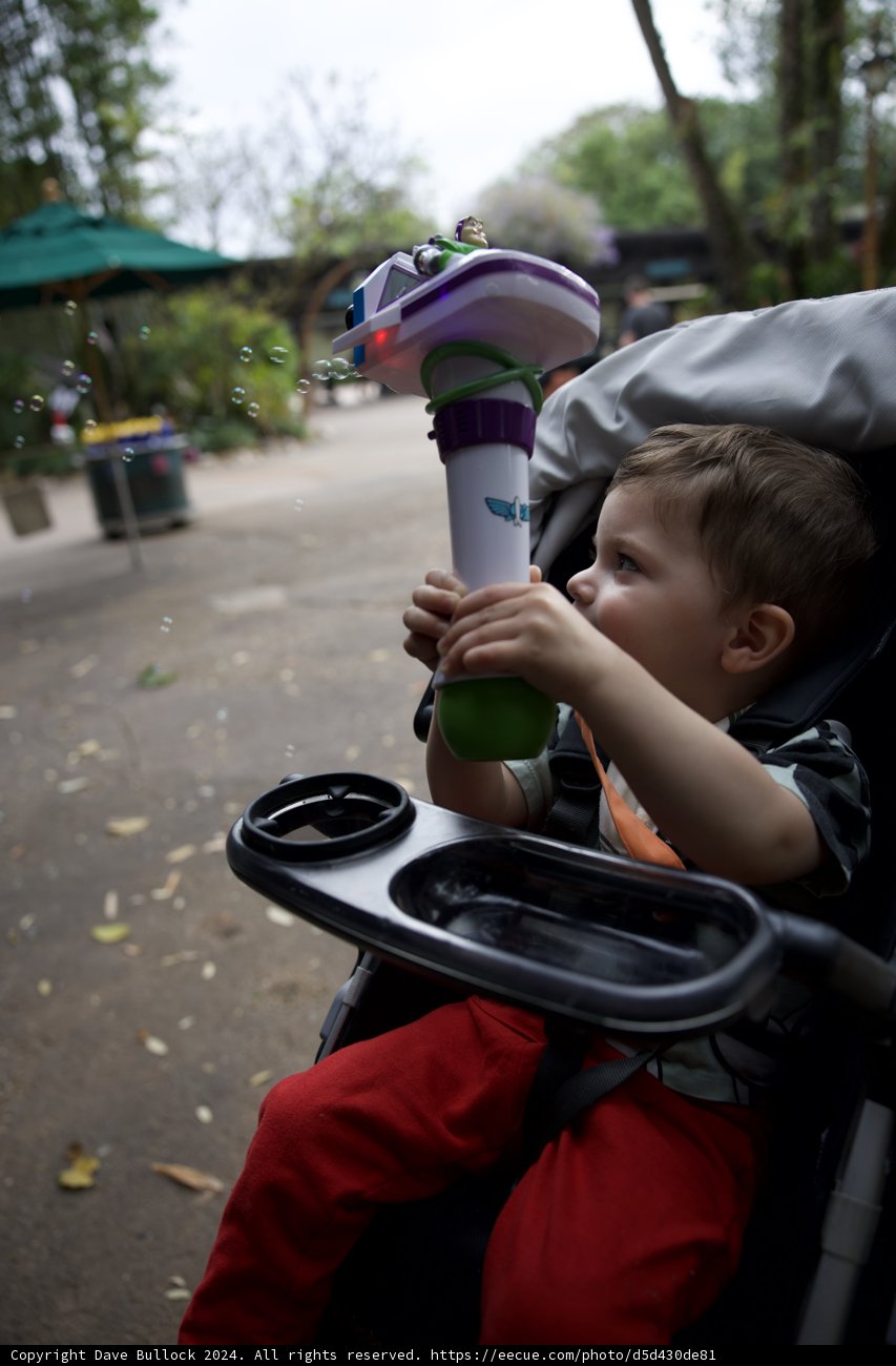 Adventurous Day Out in Disneyworld Animal Kingdom