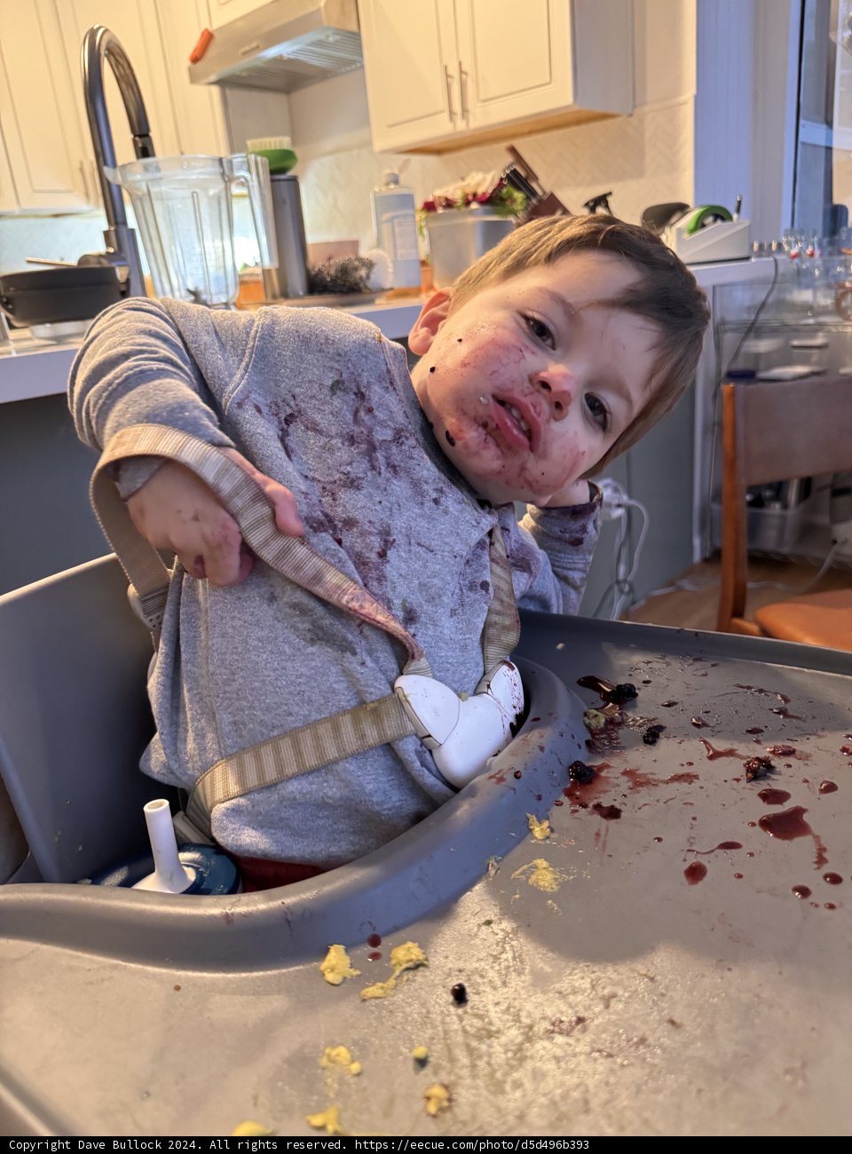 Kitchen Adventures