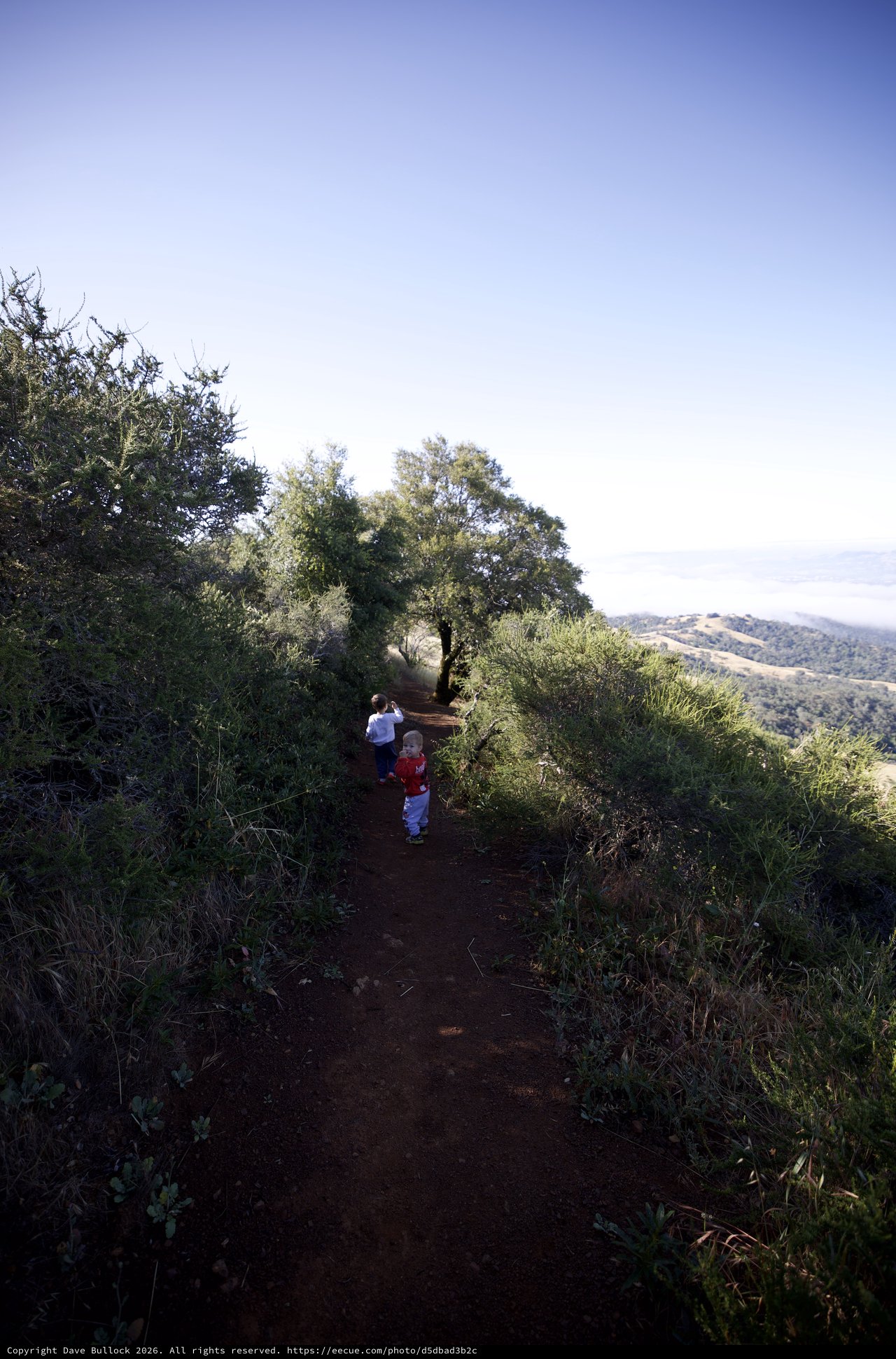 Young Hikers Exploring Mount Diablo's Juniper Canyon Trail