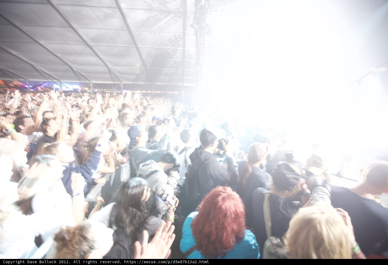 Coachella 2011: A Lively Crowd