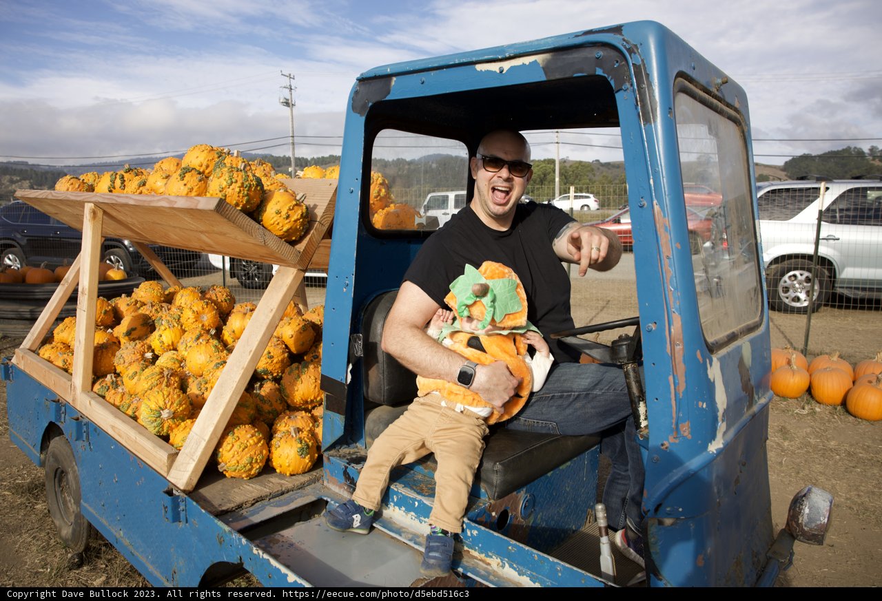The Great Pumpkin Adventure