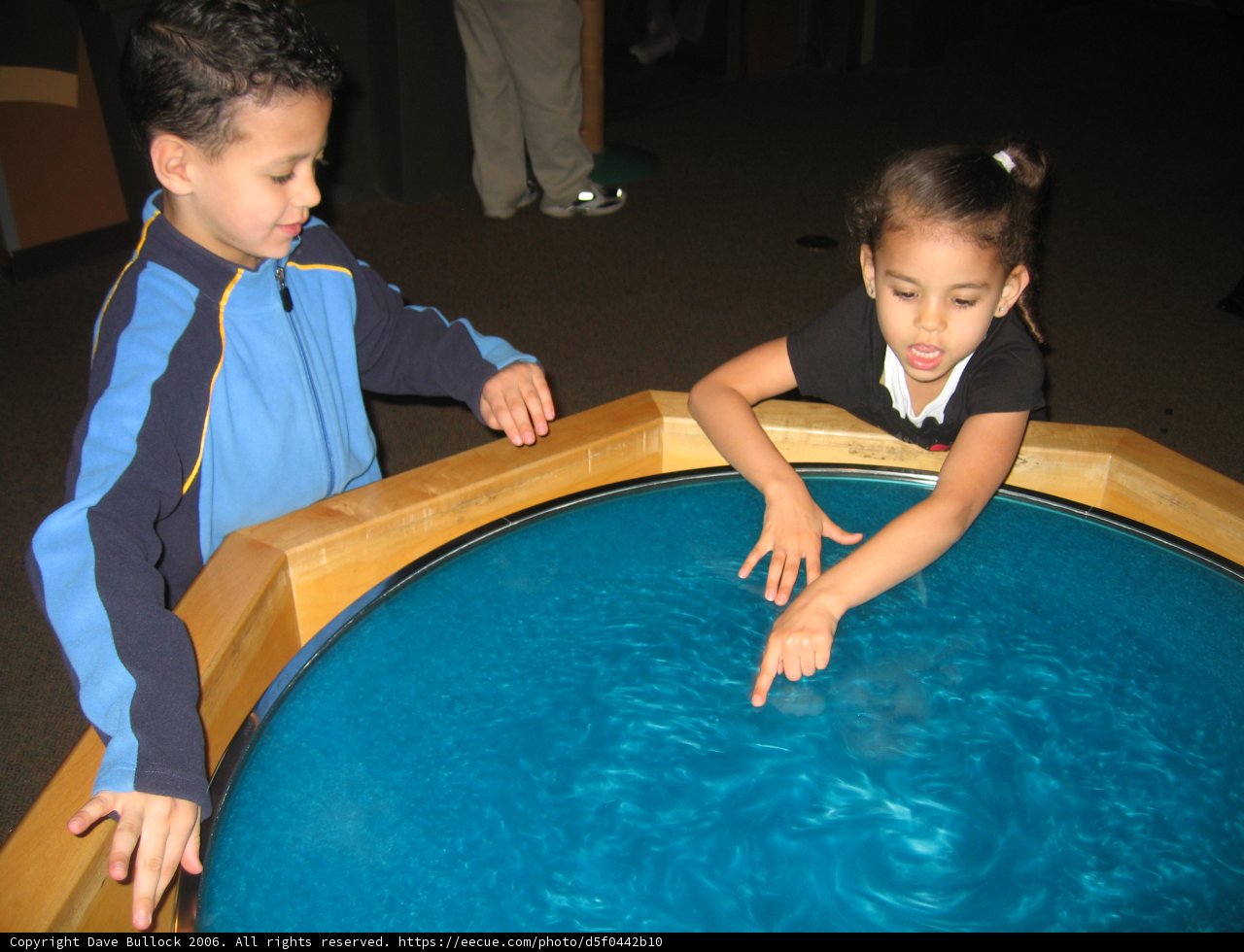 Splashing Fun